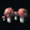 Amanita