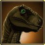 Braptor