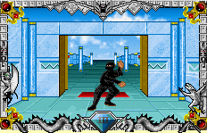 Ninja