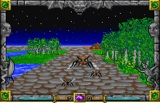 Insect Swarm