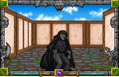 Robber Boss