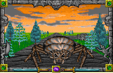 Arachnoid